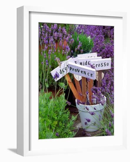 Lavender Stakes with Names and Lavender in Pots, Washington, USA-Janell Davidson-Framed Photographic Print