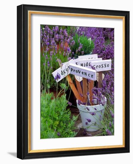 Lavender Stakes with Names and Lavender in Pots, Washington, USA-Janell Davidson-Framed Photographic Print