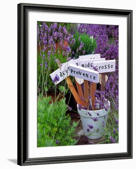 Lavender Stakes with Names and Lavender in Pots, Washington, USA-Janell Davidson-Framed Photographic Print