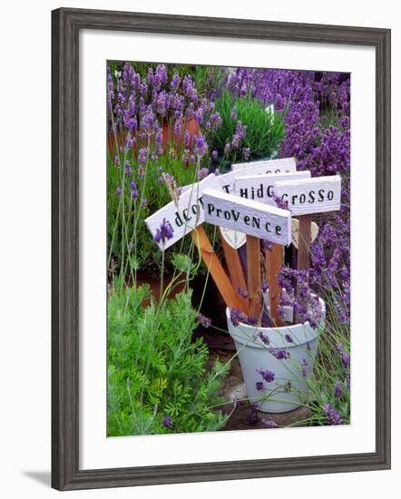 Lavender Stakes with Names and Lavender in Pots, Washington, USA-Janell Davidson-Framed Photographic Print