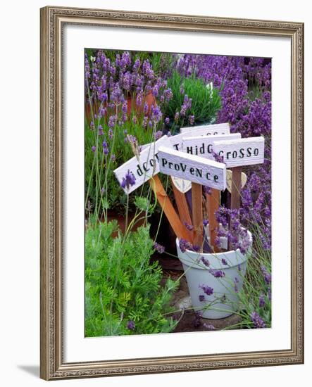 Lavender Stakes with Names and Lavender in Pots, Washington, USA-Janell Davidson-Framed Photographic Print