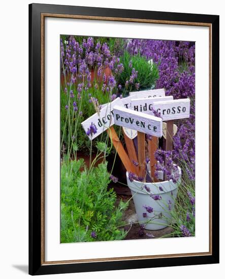 Lavender Stakes with Names and Lavender in Pots, Washington, USA-Janell Davidson-Framed Photographic Print