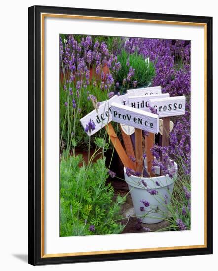 Lavender Stakes with Names and Lavender in Pots, Washington, USA-Janell Davidson-Framed Photographic Print