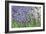 Lavender Sway II-Dana Styber-Framed Photographic Print