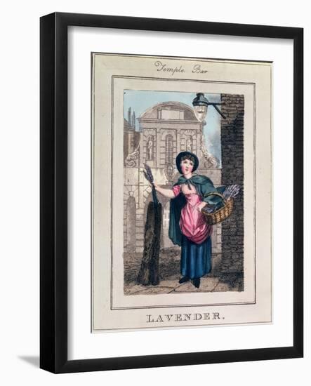 Lavender, Temple Bar, from "Cries of London", Pub. by Richard Phillips 1804-William Marshall Craig-Framed Giclee Print