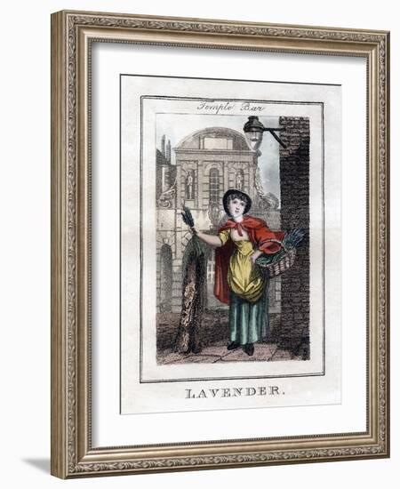 Lavender, Temple Bar, London, 1805-null-Framed Giclee Print