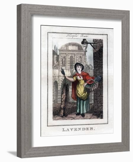 Lavender, Temple Bar, London, 1805-null-Framed Giclee Print