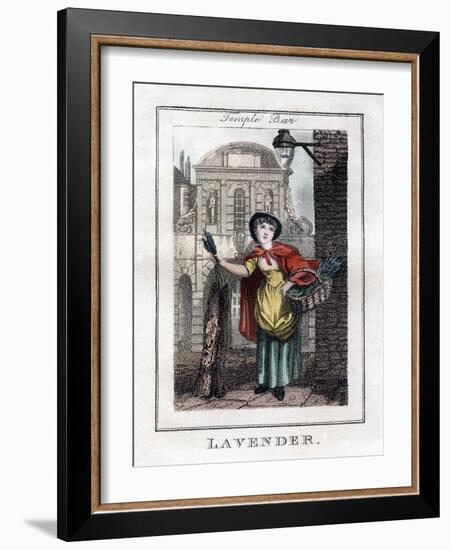 Lavender, Temple Bar, London, 1805-null-Framed Giclee Print