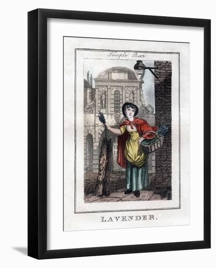 Lavender, Temple Bar, London, 1805-null-Framed Giclee Print