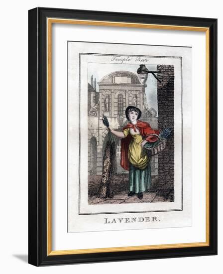 Lavender, Temple Bar, London, 1805-null-Framed Giclee Print