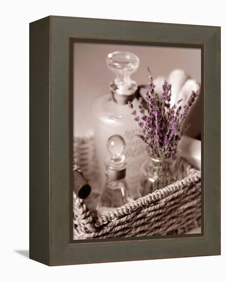 Lavender Tray-Julie Greenwood-Framed Stretched Canvas