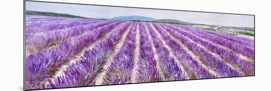 Lavender V-Li Bo-Mounted Giclee Print