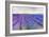 Lavender VI-Li Bo-Framed Giclee Print