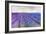 Lavender VI-Li Bo-Framed Giclee Print