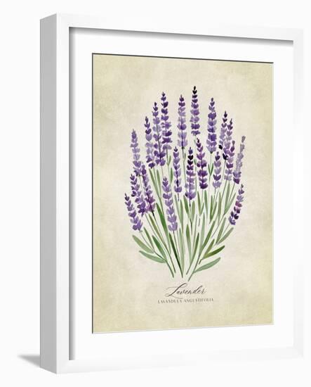 Lavender Vintage-Rosana Laiz Blursbyai-Framed Photographic Print