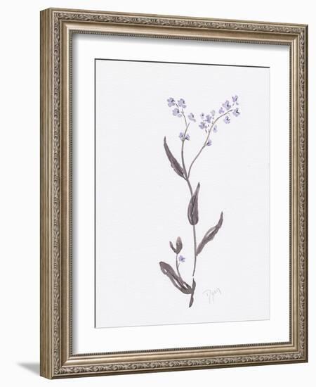 Lavender Wildflowers I-Beverly Dyer-Framed Art Print