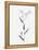 Lavender Wildflowers I-Beverly Dyer-Framed Stretched Canvas