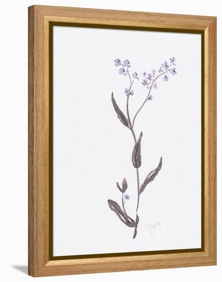 Lavender Wildflowers I-Beverly Dyer-Framed Stretched Canvas