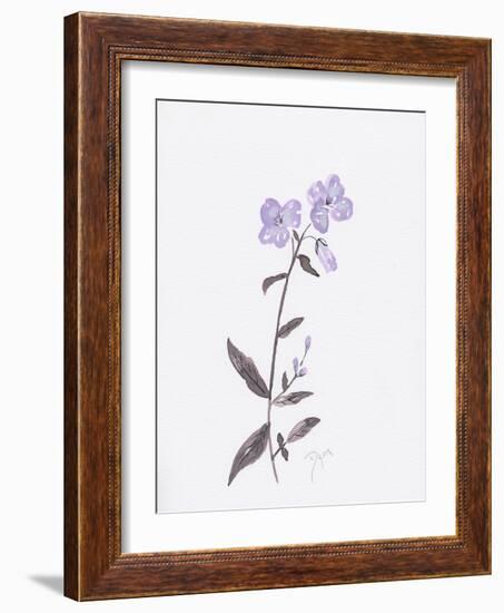 Lavender Wildflowers II-Beverly Dyer-Framed Art Print