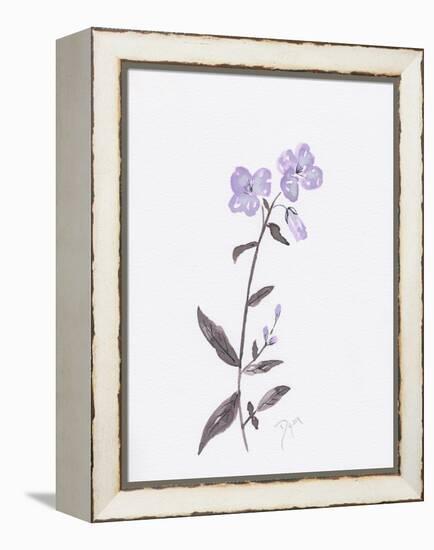 Lavender Wildflowers II-Beverly Dyer-Framed Stretched Canvas