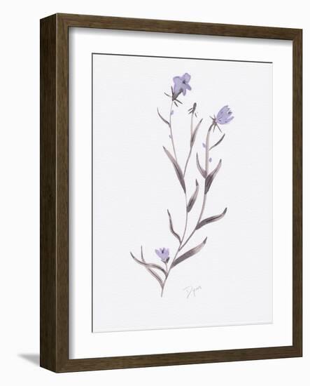 Lavender Wildflowers IV-Beverly Dyer-Framed Art Print