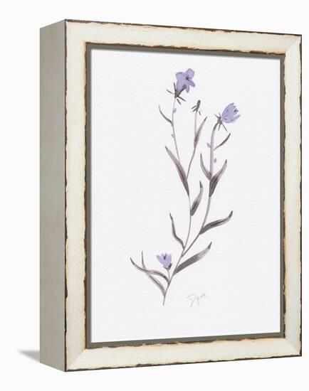 Lavender Wildflowers IV-Beverly Dyer-Framed Stretched Canvas