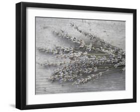 Lavender-Tammy Hanratty-Framed Photographic Print