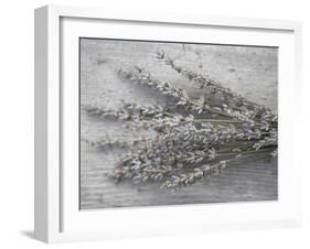 Lavender-Tammy Hanratty-Framed Photographic Print