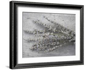 Lavender-Tammy Hanratty-Framed Photographic Print