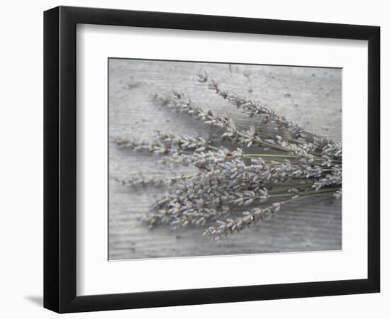 Lavender-Tammy Hanratty-Framed Photographic Print