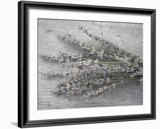 Lavender-Tammy Hanratty-Framed Photographic Print