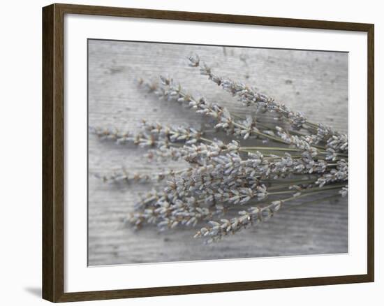 Lavender-Tammy Hanratty-Framed Photographic Print