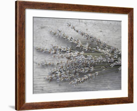 Lavender-Tammy Hanratty-Framed Photographic Print