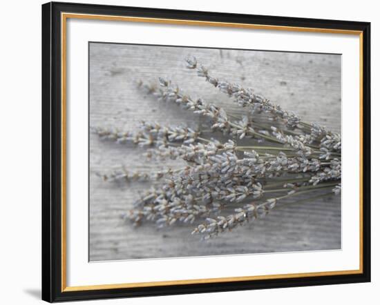 Lavender-Tammy Hanratty-Framed Photographic Print