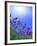 Lavender-null-Framed Photographic Print