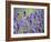 Lavender-null-Framed Photographic Print