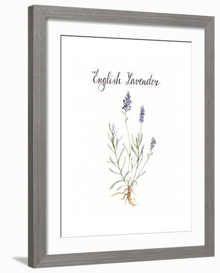 Lavender-Irina Trzaskos Studio-Framed Giclee Print