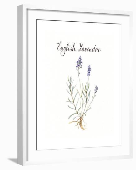 Lavender-Irina Trzaskos Studio-Framed Giclee Print