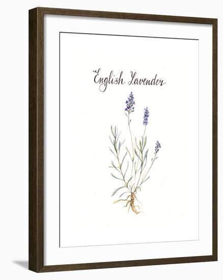 Lavender-Irina Trzaskos Studio-Framed Giclee Print