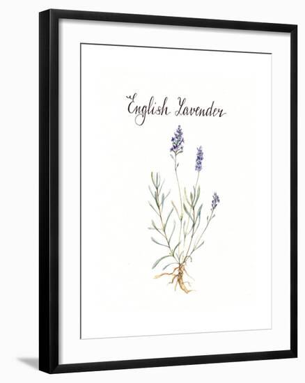 Lavender-Irina Trzaskos Studio-Framed Giclee Print