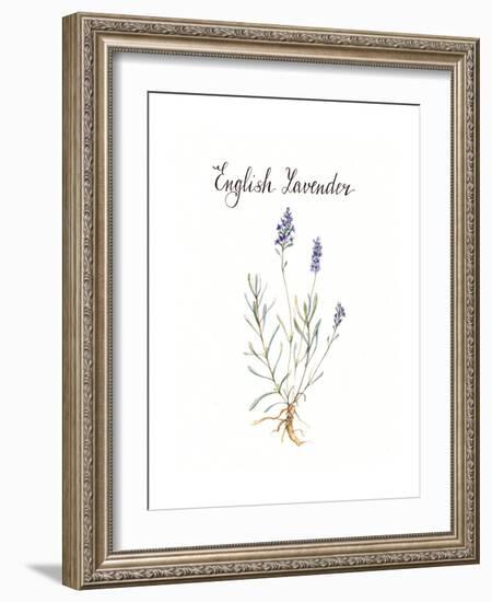 Lavender-Irina Trzaskos Studio-Framed Giclee Print