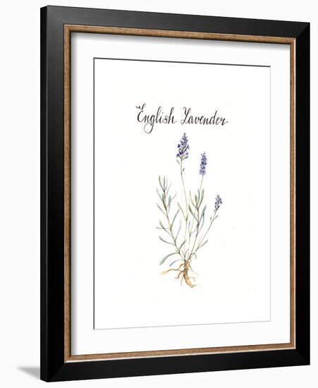 Lavender-Irina Trzaskos Studio-Framed Giclee Print