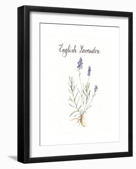 Lavender-Irina Trzaskos Studio-Framed Giclee Print