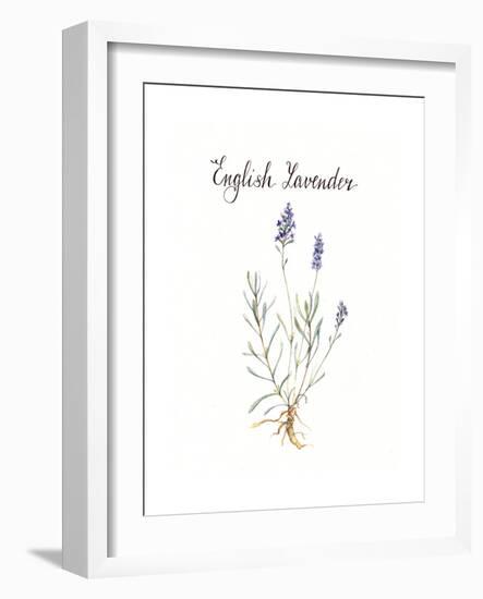 Lavender-Irina Trzaskos Studio-Framed Giclee Print