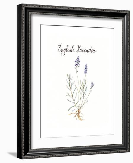 Lavender-Irina Trzaskos Studio-Framed Giclee Print