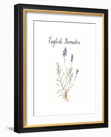 Lavender-Irina Trzaskos Studio-Framed Giclee Print