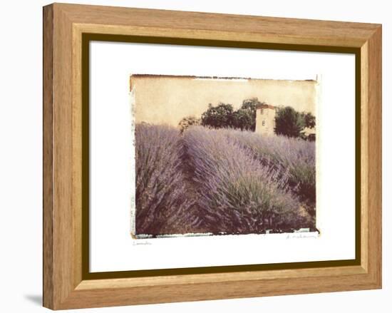 Lavender-Amy Melious-Framed Stretched Canvas