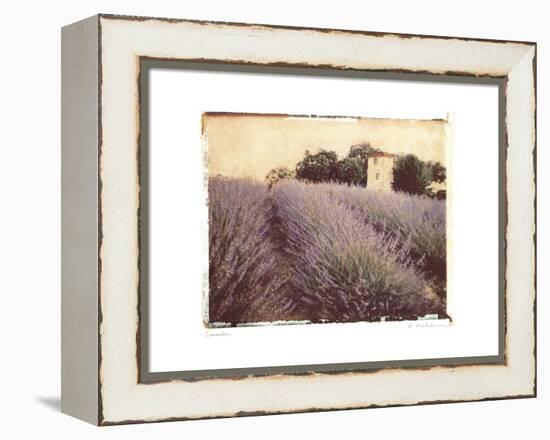 Lavender-Amy Melious-Framed Stretched Canvas