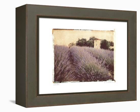 Lavender-Amy Melious-Framed Stretched Canvas