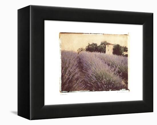 Lavender-Amy Melious-Framed Stretched Canvas